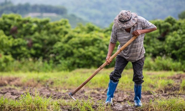 Governo promete "novo ciclo de estímulos à produção da indústria nacional e de financiamentos de máquinas voltadas para a agricultura familiar."( foto - JComp/Freepik)