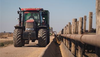 Ahora se puede controlar el feedlot desde cualquier lugar del mundo: así buscan transformar la gestión ganadera