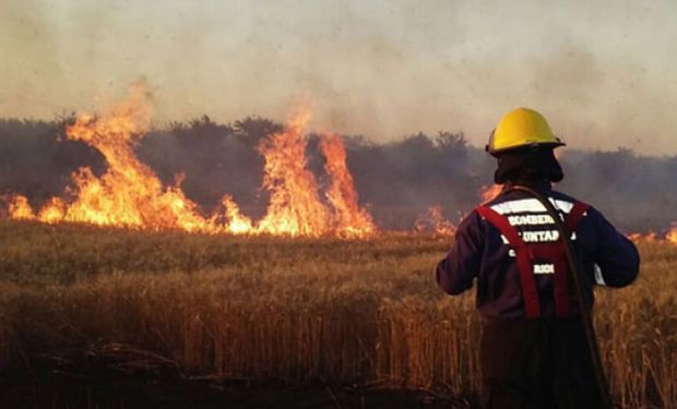 Una entidad rural criticó la Ley de Manejo del Fuego: “Es el resultado de la incapacidad intelectual”