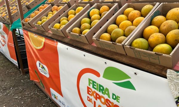 unica-laranja-brasil-indicacao-geografica-rio-janeiro