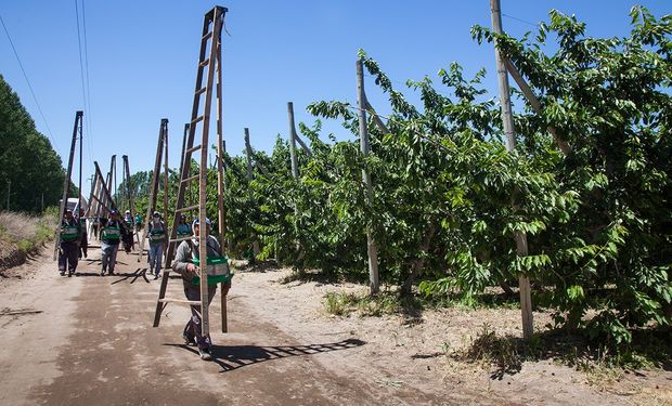 Piden a las provincias que se adhieran a la compatibilización de los planes sociales con el trabajo rural registrado