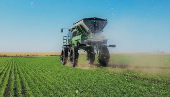 Con mejor clima, el productor invirtió más en nutrientes y empujó el mercado