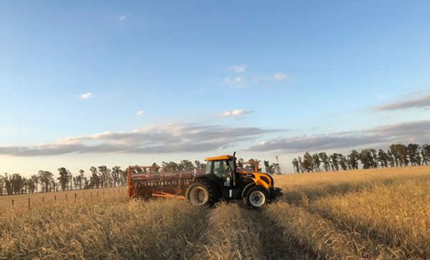 Cuánto fertilizante consumió el agro en 2024: la soja continúa siendo el cultivo que todavía utiliza menos tecnología que la recomendada