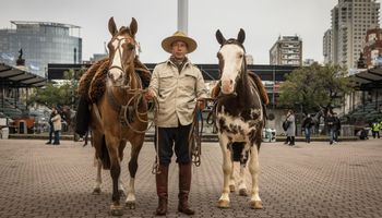 Gato y Mancha en La Rural: a cien años de la gesta legendaria de los Criollos que recorrieron más de 21.000 km hasta Nueva York
