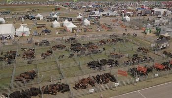 Ganadería y mujeres rurales: las grandes apuestas de Expoagro para 2020