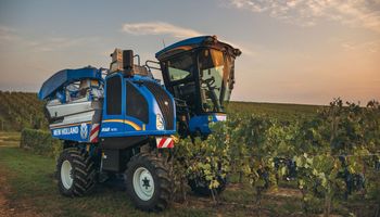 Avanza el intercambio de la producción agropecuaria entre Argentina y Japón