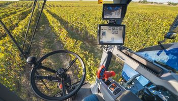 La máquina que transforma la cosecha de uva y revoluciona a una producción estrella del campo argentino