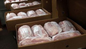 Argentina abrió un nuevo mercado y exportará carne de cerdo a Emiratos Árabes Unidos