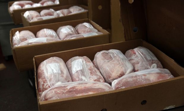 Argentina abrió un nuevo mercado y exportará carne de cerdo a Emiratos Árabes Unidos