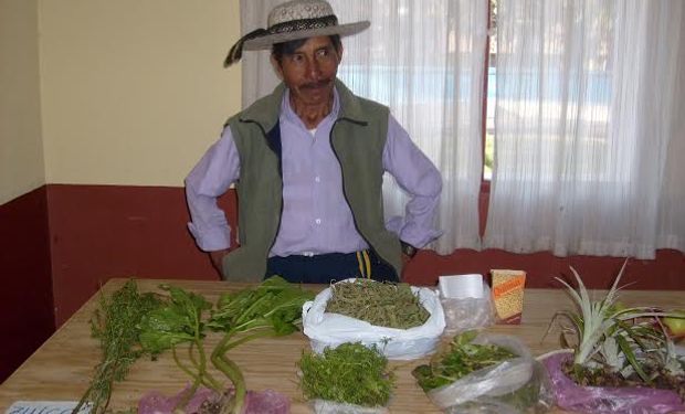 Integran un catálogo internacional cuyos componentes locales fueron aportados por investigadores de la Facultad de Agronomía de la UBA y de otras universidades.