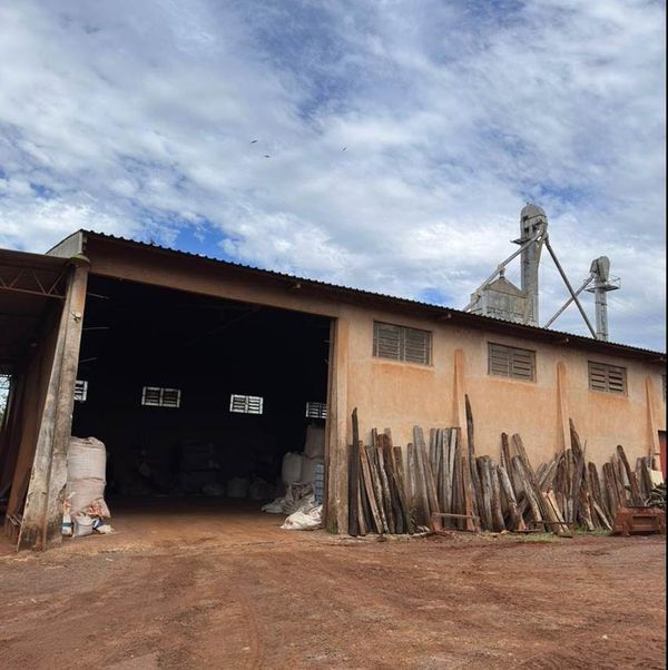 As autoridades judiciais do país determinaram, em decisão preliminar, a apreensão de 848,1 toneladas de sementes suspeitas em 20