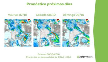 Avanza el maíz, retroceden los precios
