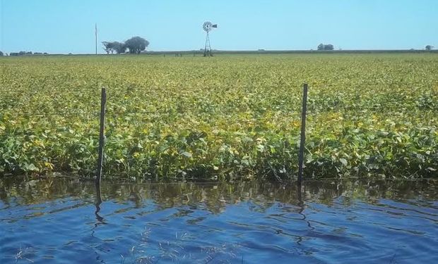 El resultado productivo obedeció a la incidencia de factores y condiciones climáticas que se desarrollaron durante todo el ciclo del cultivo.