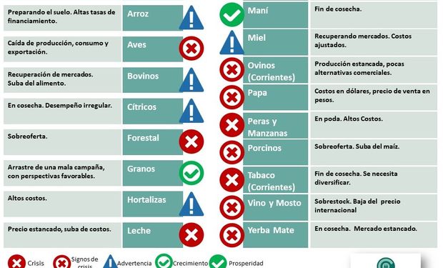 Las 19 actividades relevadas.