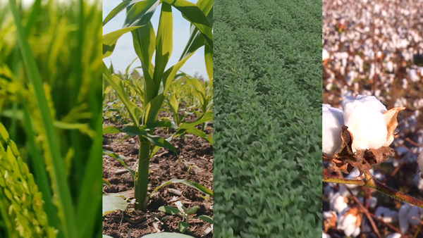 croplife22