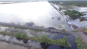Estiman que 2,4 millones de hectáreas de soja se encuentran afectadas por excesos