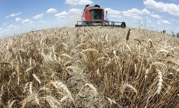 Trigar 2019: el mundo no es el mismo para el trigo argentino y la idea es analizarlo en Córdoba durante el primer congreso internacional.