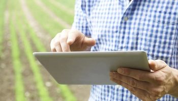 Claves para potenciar tu campo en maíz: consejos DONMARIO en Agrofy