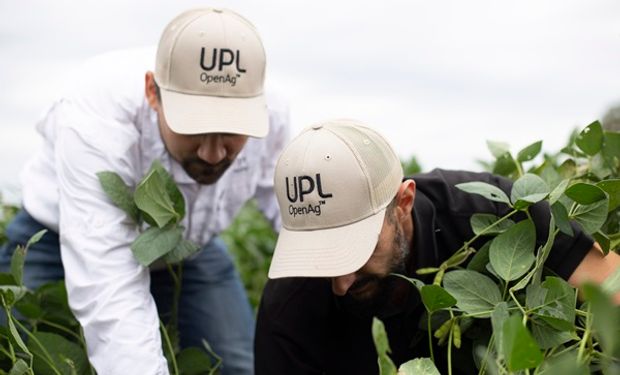 La fuerte apuesta de una de las compañías agrícolas más grandes del mundo a la Argentina: “Tenemos más de 450 ensayos en lotes productivos"