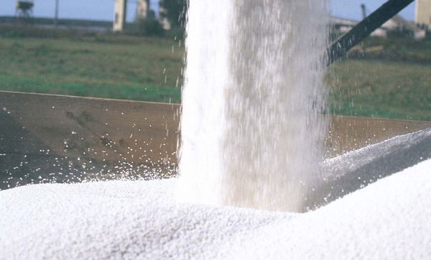 En 2013 China exportó más de 8,0 millones de toneladas de urea. Y se prevé que en 2014 esa cifra sea de casi 10,0 millones de toneladas.