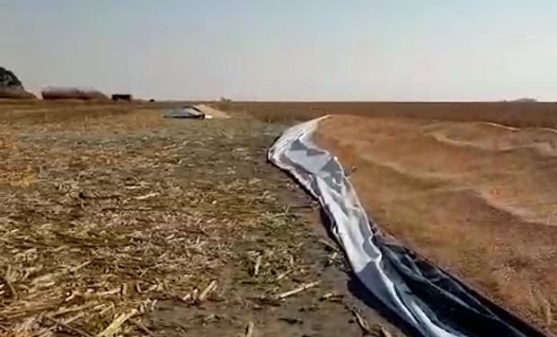 “Qué necesidad de hacer daño”: un nuevo ataque a silo bolsas despertó la indignación del productor afectado