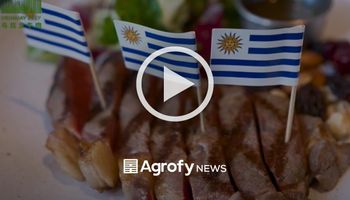Oportunidad: Uruguay lanzó una fuerte campaña para vender más carne en China