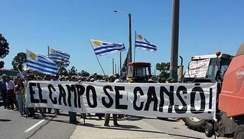 Uruguay: productores exigirán hoy dólar libre y baja de luz y combustible