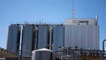 Con u$s 120 millones en tres años, Nestlé lanzará nuevos productos, ¿cuáles son sus planes?