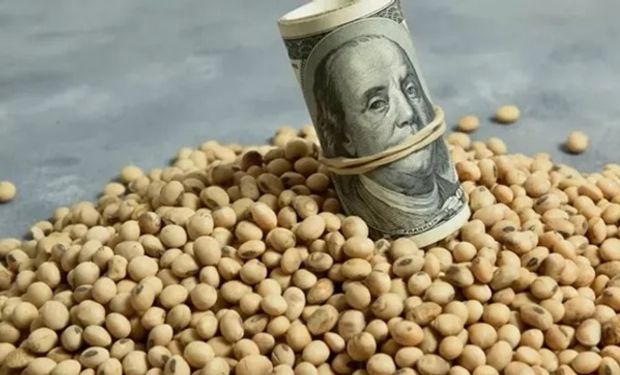 Lanzan un índice para seguir el precio del dólar agro