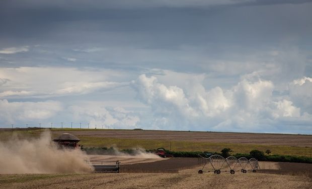 Soja, trigo y maíz: el mercado se posiciona a la espera de un informe clave