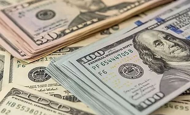 Dólar hoy: a cuánto cotiza el dólar blue y cuál es la brecha con el dólar Banco Nación este jueves 23 de noviembre
