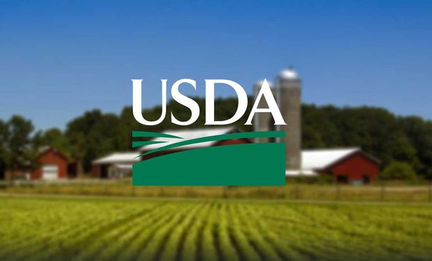 El mercado se anticipa a los pronósticos del Outlook forum del USDA.