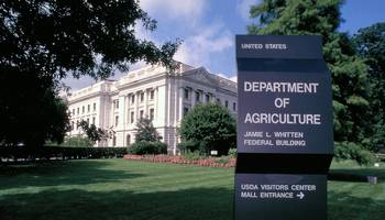 Informe del USDA: se confirmó el recorte en la cosecha de soja y maíz en Sudamérica