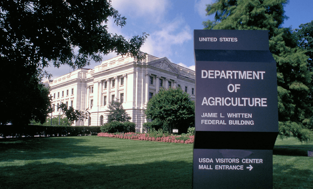 Informe del USDA: se confirmó el recorte en la cosecha de soja y maíz en Sudamérica