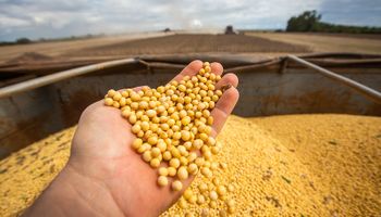 El USDA sorprendió al mercado: suben los precios de la soja y el maíz gana protagonismo
