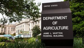USDA: el mercado recibió noticias pesimistas para los stocks finales de soja y maíz en Estados Unidos