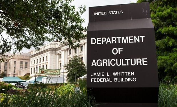 USDA: el mercado recibió noticias pesimistas para los stocks finales de soja y maíz en Estados Unidos