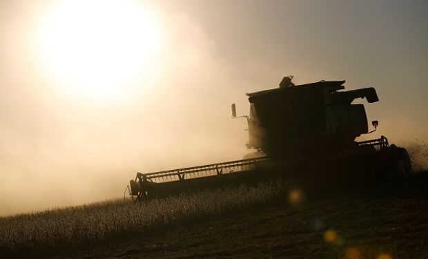 Soja, trigo y maíz: los datos que pueden impactar en el mercado de granos