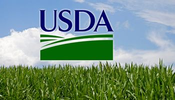 USDA recorta producción de soja y maíz de Estados Unidos