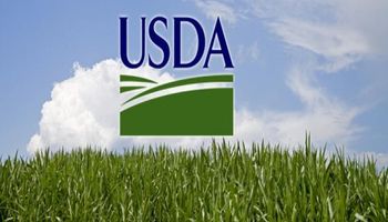 USDA: stocks de trigo debajo de las expectativas