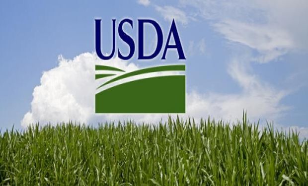 USDA: más producción de soja en Argentina