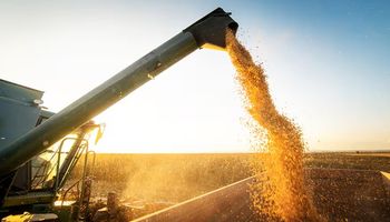 ¿Sorpresa? Los siete gráficos que reflejan la oferta y demanda mundial de soja, trigo y maíz