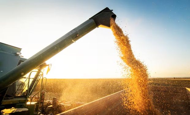 ¿Sorpresa? Los siete gráficos que reflejan la oferta y demanda mundial de soja, trigo y maíz