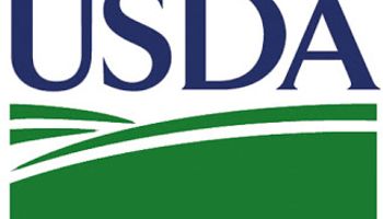 El mercado espera el USDA