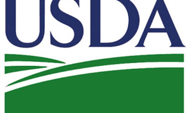 El mercado espera el USDA