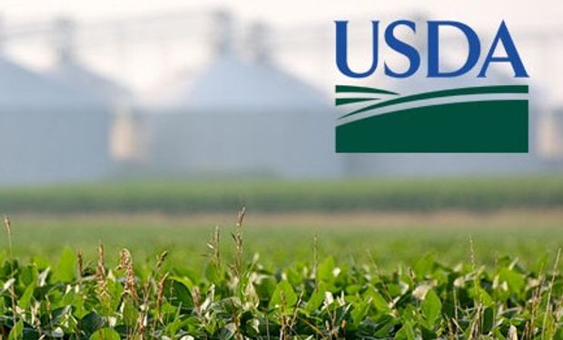 Expectativas para el USDA de Junio.