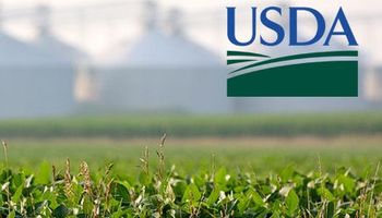 CBOT: mirá las expectativas de cara al USDA de junio