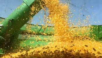 USDA: primeros datos del último Reporte del año