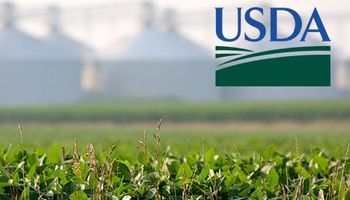 USDA: stocks de soja siguen bajando