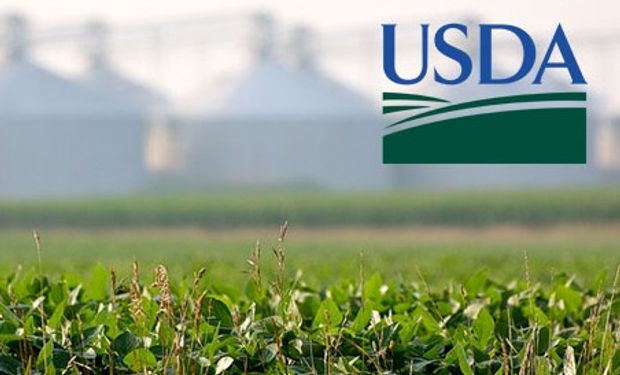 Informe extendido del USDA - Junio.